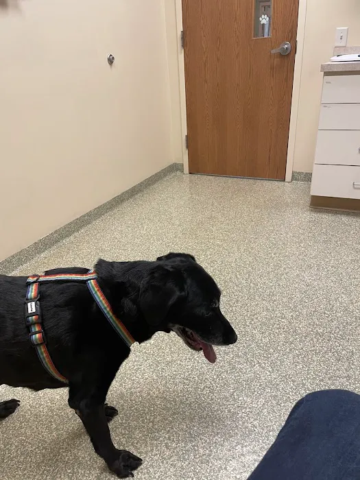 East Holland Veterinary Clinic Picture 2