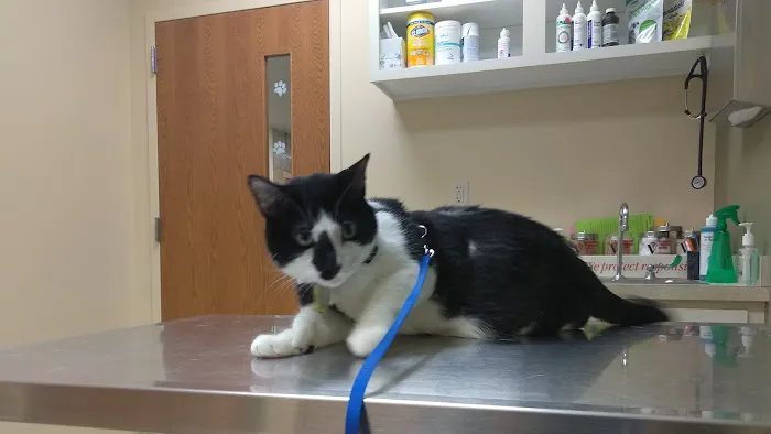 East Holland Veterinary Clinic Picture 8