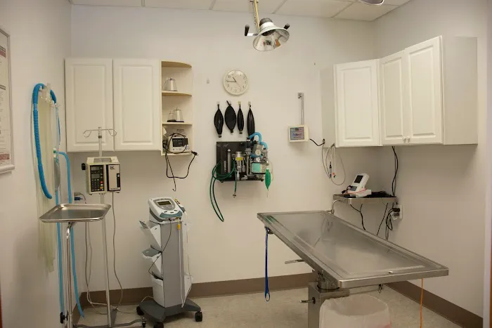 Ottawa Animal Hospital West Picture 6