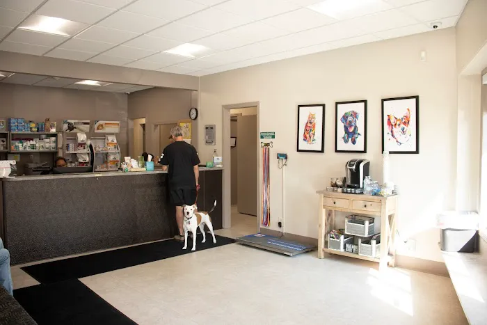 Ottawa Animal Hospital West Picture 10