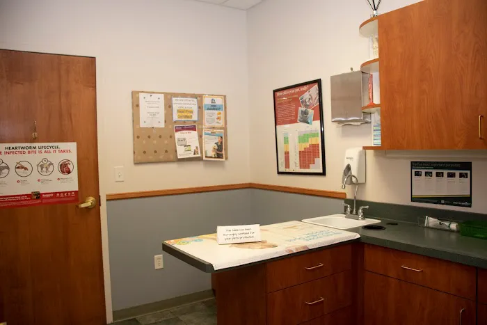 Ottawa Animal Hospital East Picture 2