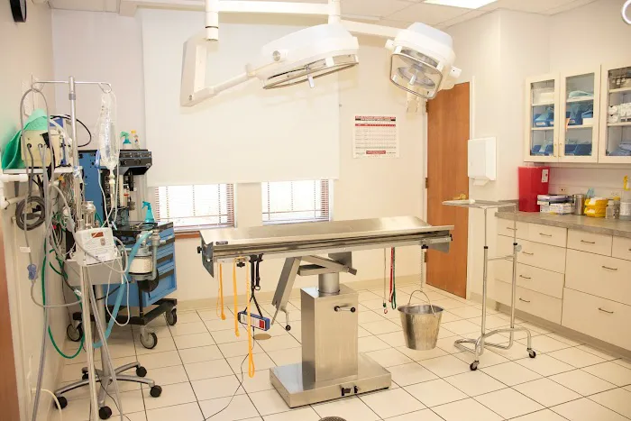 Ottawa Animal Hospital East Picture 8