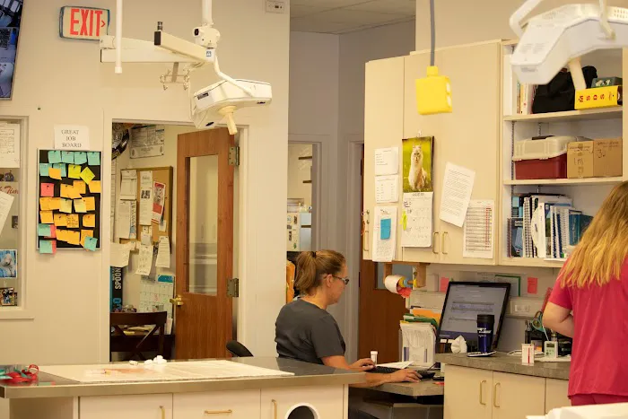 Ottawa Animal Hospital East Picture 10