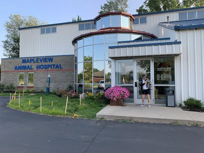 Mapleview Animal Hospital Picture 4