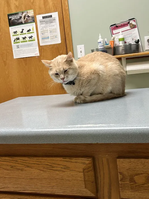 Monterey Veterinary Center Picture 3