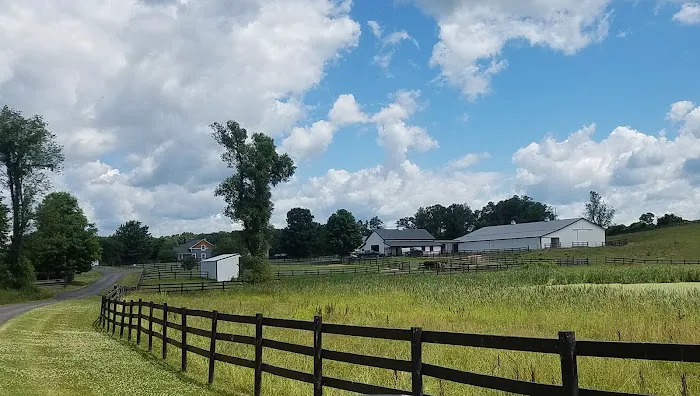Classic Equine, LLC Picture 2