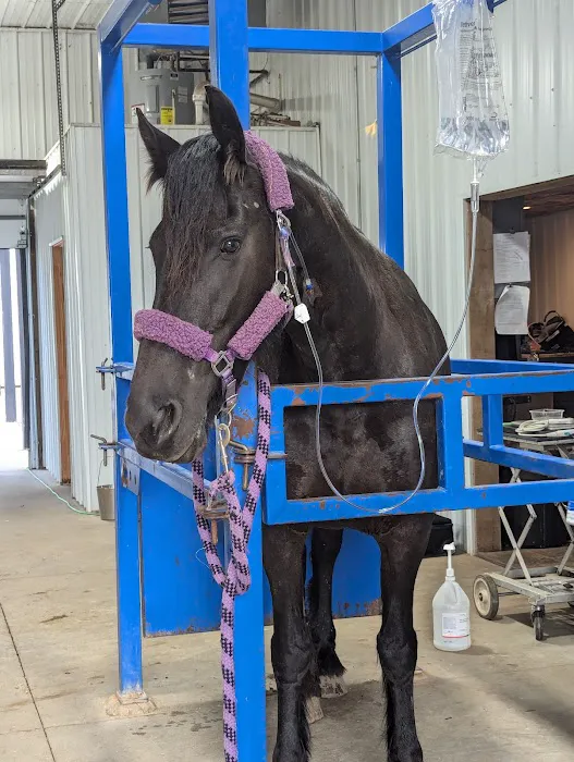 Classic Equine, LLC Picture 1