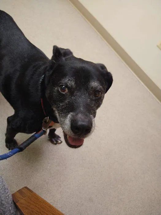 Animal Care Hospital Picture 1