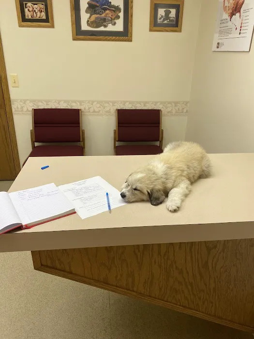 Animal Care Hospital Picture 3