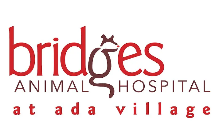 Bridges Animal Hospital at Ada Village Picture 8