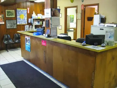 Thornwood Veterinary Clinic Picture 3
