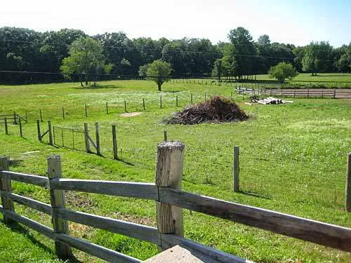 Thornwood Veterinary Clinic Picture 5