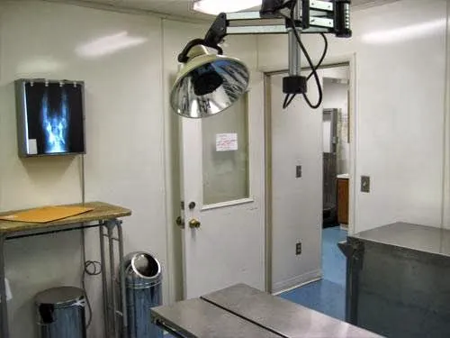 Thornwood Veterinary Clinic Picture 7