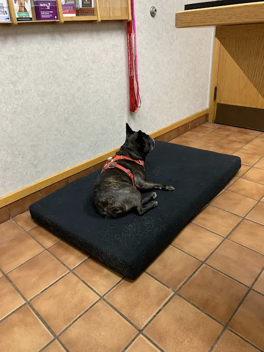 Cascade Hospital for Animals Picture 2