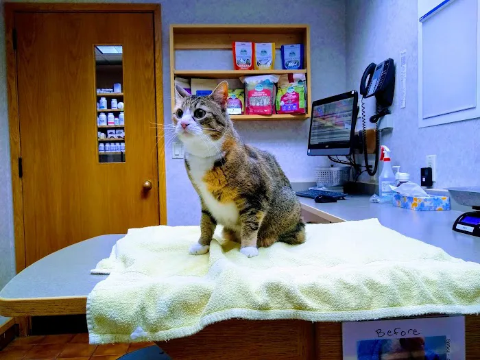 Cascade Hospital for Animals Picture 3