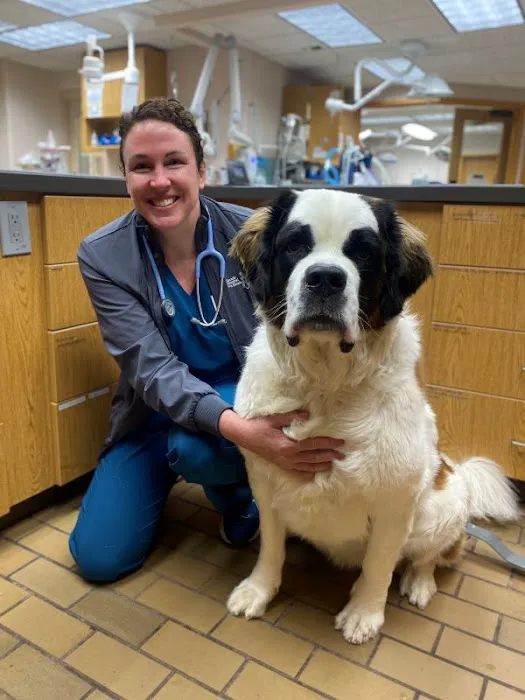 Cascade Hospital for Animals Picture 5