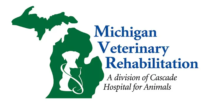 Veterinary Rehabilitation and Fitness Picture 6