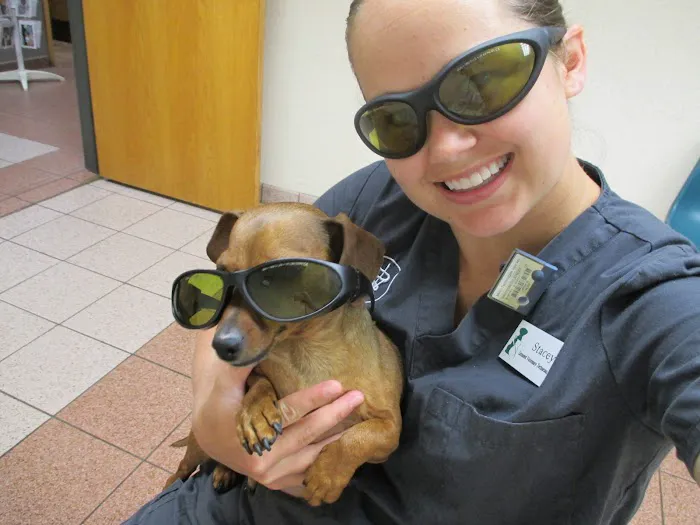 Veterinary Rehabilitation and Fitness Picture 10