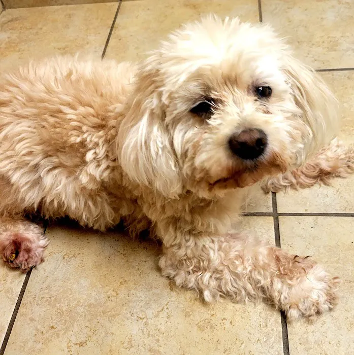 Family Friends Veterinary Hospital Picture 1