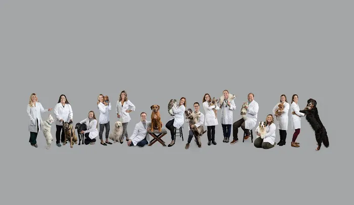 Family Friends Veterinary Hospital Picture 4