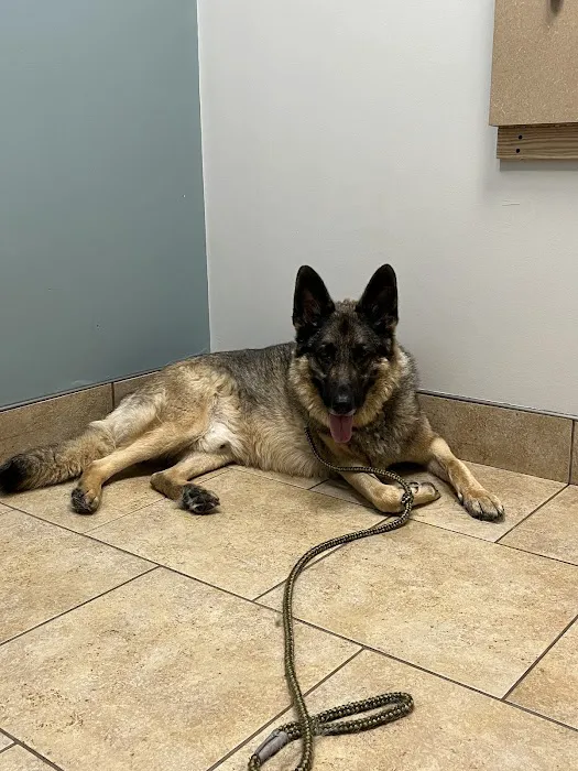 Family Friends Veterinary Hospital Picture 3