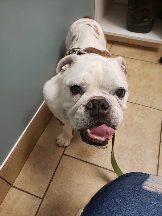 Family Friends Veterinary Hospital Picture 7