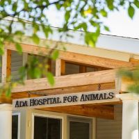 Ada Hospital for Animals ico
