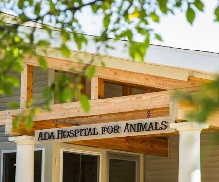 Ada Hospital for Animals