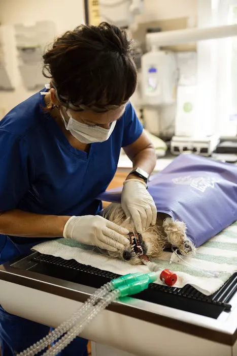 Ada Hospital for Animals Picture 7