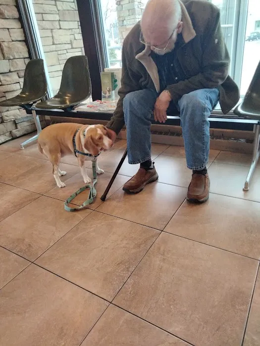 Forest Hills Veterinary Clinic Picture 6