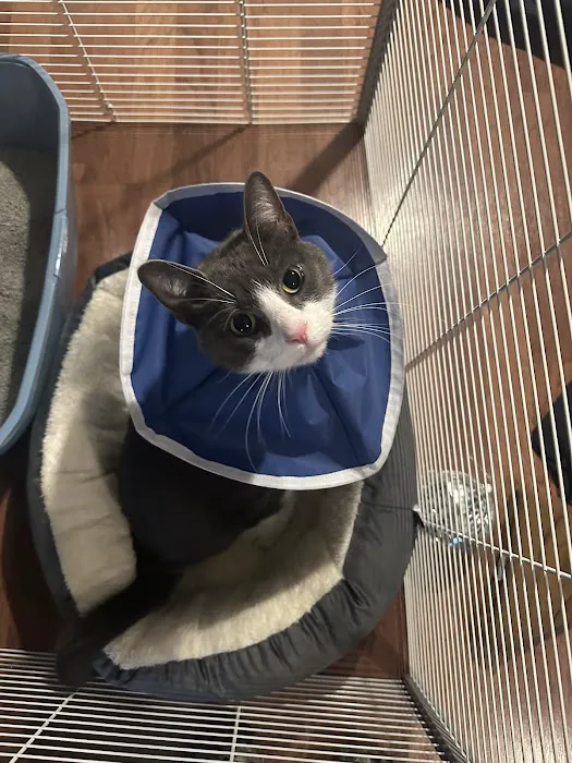 BluePearl Pet Hospital Picture 1