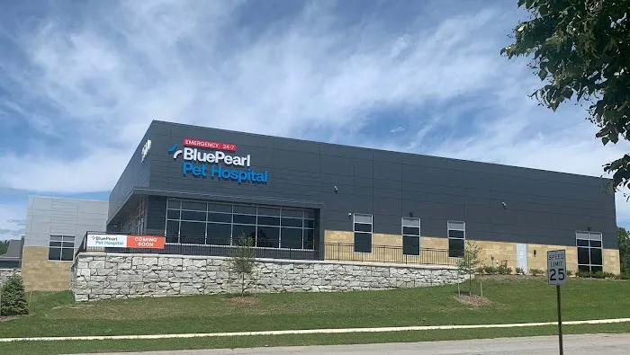 BluePearl Pet Hospital Picture 6