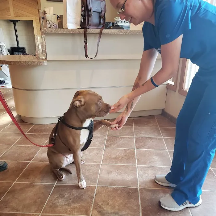 Northland Animal Hospital Picture 2