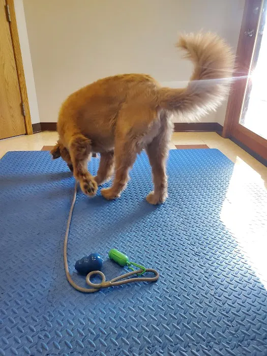Northland Animal Hospital Picture 9