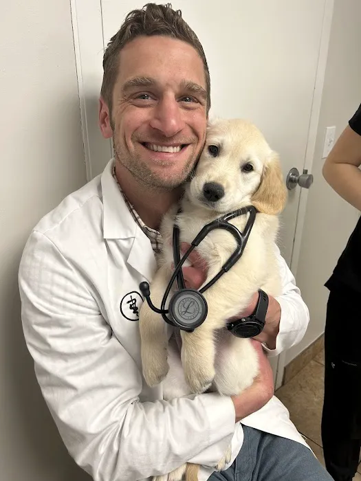 Rockford Animal Hospital Picture 3