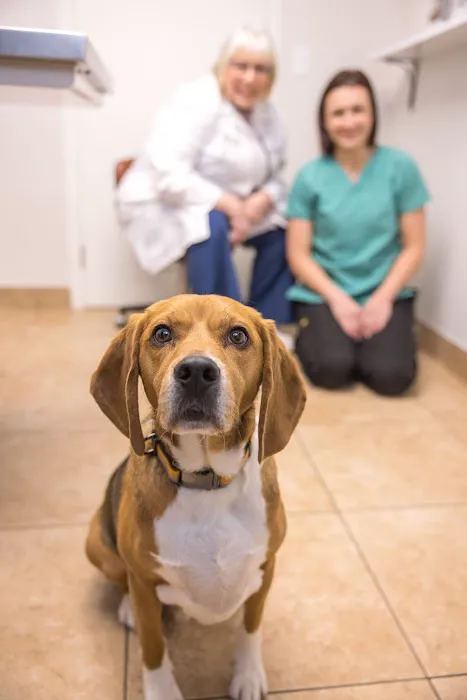 Rockford Animal Hospital Picture 8