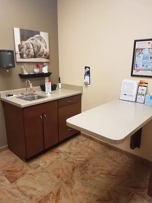 Rogue Valley Veterinary Hospital Picture 2