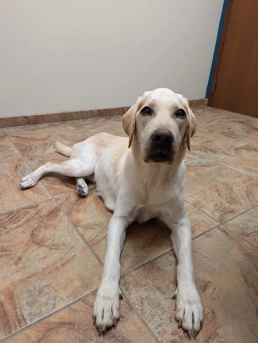 Rogue Valley Veterinary Hospital Picture 9