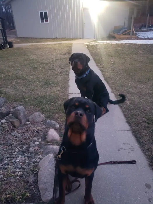 Beisinger Veterinary Services Picture 7