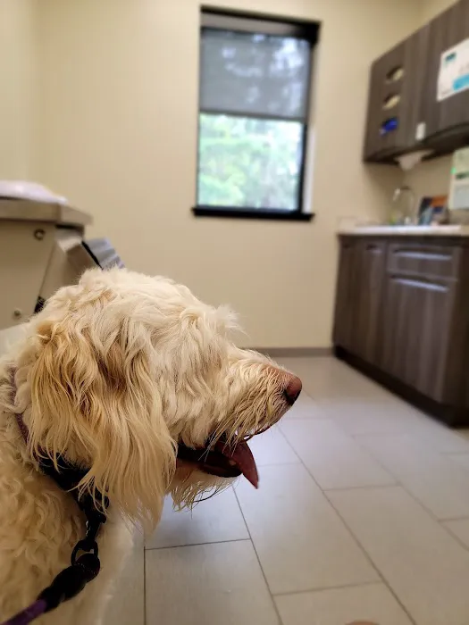 Southkent Veterinary Hospitals Picture 2