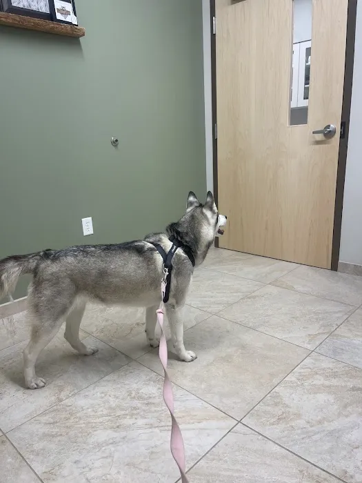 Cedar Animal Hospital Picture 3