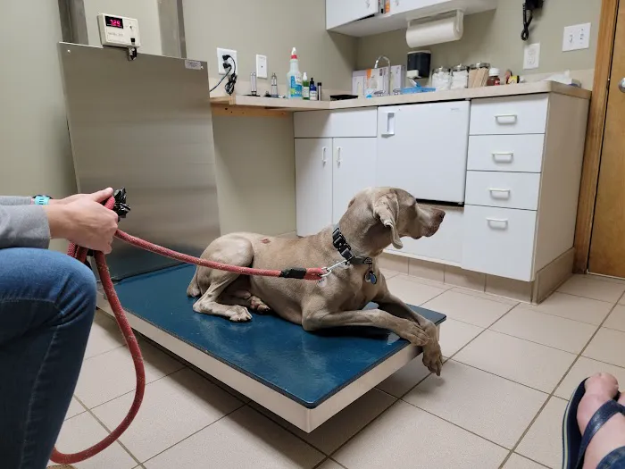 Cedar Animal Hospital Picture 4