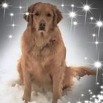 Maple River Veterinary Clinic