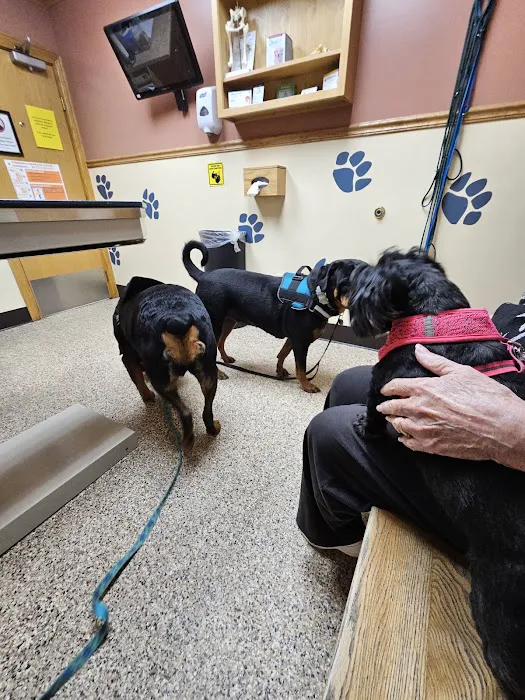 Northside Animal Hospital Picture 1