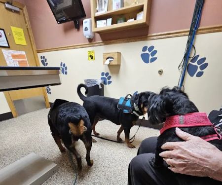 Northside Animal Hospital
