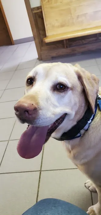 Northside Animal Hospital Picture 7