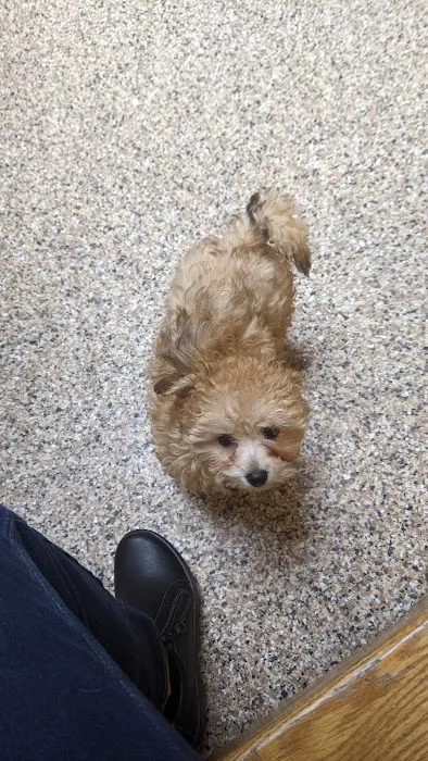 Pinecrest Animal Hospital Picture 3