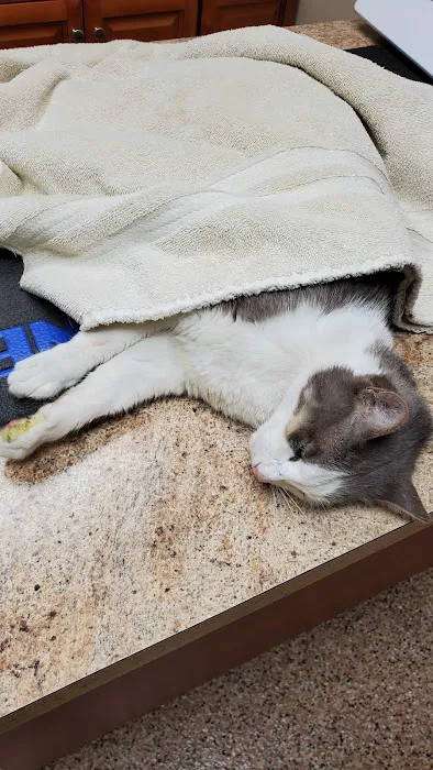 Pinecrest Animal Hospital Picture 1