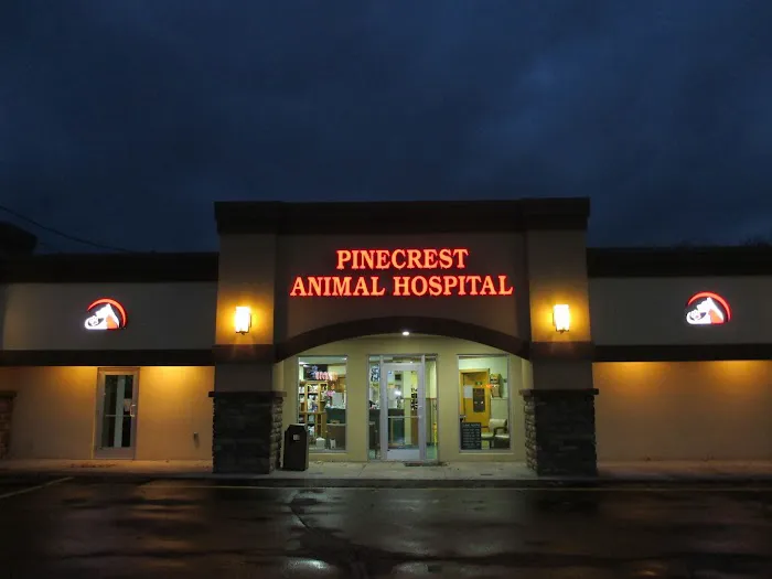 Pinecrest Animal Hospital Picture 5