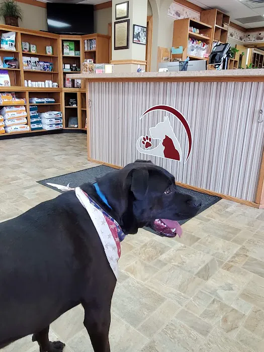 Pinecrest Animal Hospital Picture 9